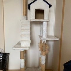 キャットタワー　中古