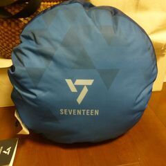 SEVENTEEN プレミアムラウンドクッションの画像
