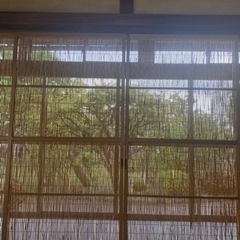 🈵筋膜リリースセッション体験✨限定3名様@福島市の画像