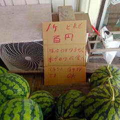 無人販売いまいちスイカ1玉百円玉企画 - その他