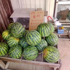 無人販売いまいちスイカ1玉百円玉企画