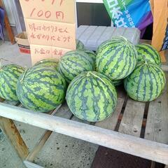 無人販売いまいちスイカ1玉百円玉企画 − 鳥取県