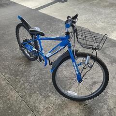自転車　男の子　大人気の画像