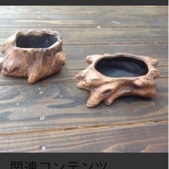 ダイソーに売っていた切り株植木鉢