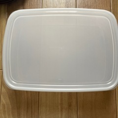 大きい タッパー