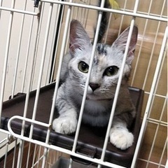 白黒、1歳未満、メス