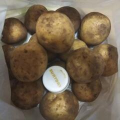 新じゃがいも🥔はいかがでしょうか❓の画像
