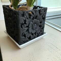 観葉植物(フェイクグリーン )【高さ：約75cm 幅：約35cm】の画像
