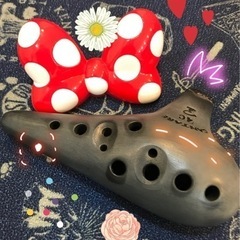 小学生から始めるオカリナ個人レッスン♪♬*゜