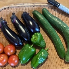 新鮮、朝採れ　無農薬、野菜