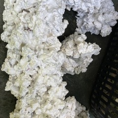 サンゴ石　水槽アレンジ用石　の画像