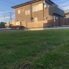 生えない場所に芝生やします。 − 千葉県