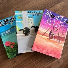 本：ベストセラー文庫3冊セット・沖縄関連の作品です！