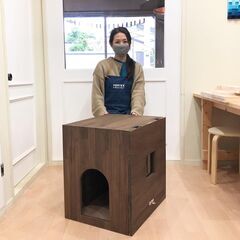 ★「ＤＩＹサポートＤＡＹ」毎月開催！の画像