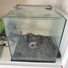 ガラス水槽セット【Kotobukiクリスタルキューブ300レグラス】