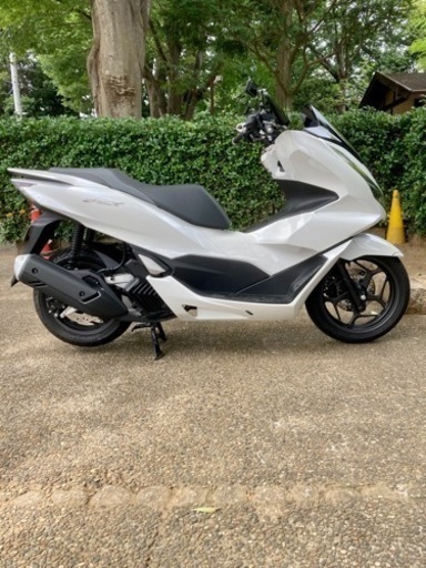 PCX125 JK05 パールジャスミンホワイト　傷なし　美品　低走行