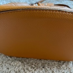 ZARA 2WAYバッグの画像