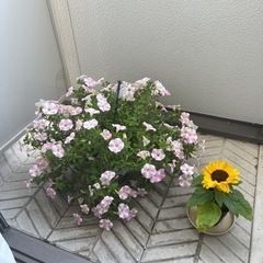 7/15 12:00 から 京成高砂駅のカフェでもくもく会