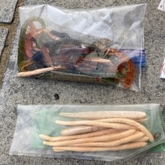 釣具　仕掛け　その他の画像