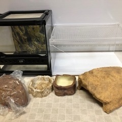 レオパ飼育セット　爬虫類