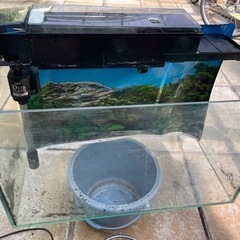 水槽 金魚 60cm 砂利付き ポンプの画像