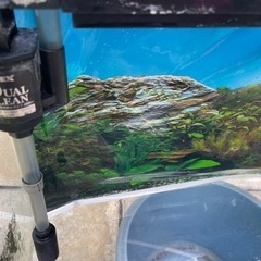 水槽 金魚 60cm 砂利付き ポンプの画像