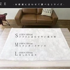【明後日まで】毛足長め　シャギーラグ　カーペット　絨毯　ホワイトシルバー　200 × 250 cm  の画像