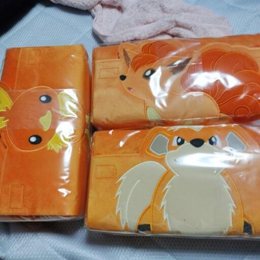 ポケモン　テッシュカバー