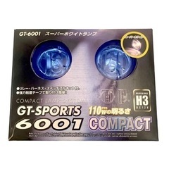 GT-SPORTS 6001 フォグランプ