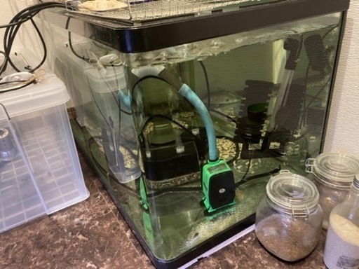 90センチ水槽