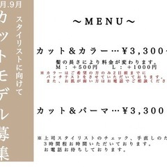 宇治でモデルカットさん募集しています！
