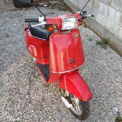 値下！ホンダ　honda　タクト　フルマーク　低走行★