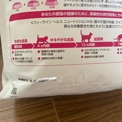 キャットフード　ロイヤルカナンの画像