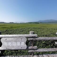 7/9(日)に雨竜沼湿原へハイキングに行きませんか