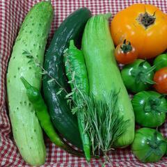 ★無農薬★エホバク入り夏野菜セットの画像