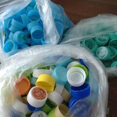 ペットボトルキャップ　622個の画像