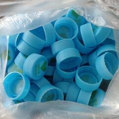 ペットボトルキャップ　622個の画像