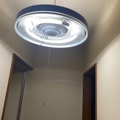 (決まりました)電気