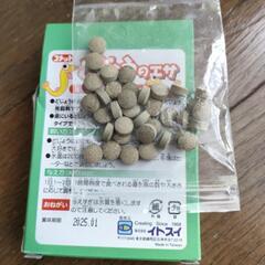 【お魚飼育セット】金魚、どじょう、メダカなどにの画像