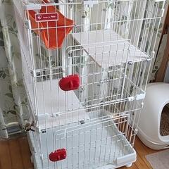 (取引中)ゲージ(土日限定)