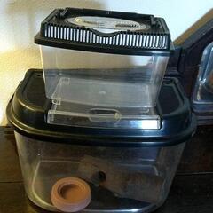 虫かご飼育ケース●虫籠●中古2個セット！オマケ付き●（クワガタ　...
