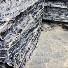 12/1ジオラマの画像