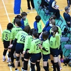 7月。暑さに負けず一緒にバレーしませんか？ - スポーツ