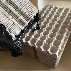 【GW以降処分】卵パック 80〜85枚　紙 コオロギ