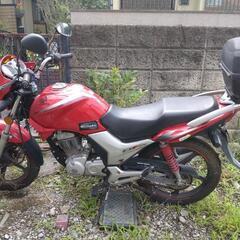 【格安】バイク　CBF125　HONDA　