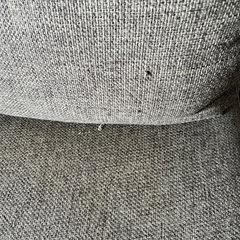 ラタンソファーの画像