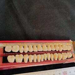 義歯キット ハロウィンホラーの小道具 ホワイト義歯
の画像