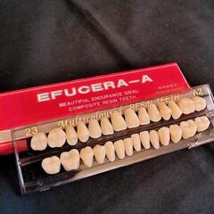 義歯キット ハロウィンホラーの小道具 ホワイト義歯
の画像