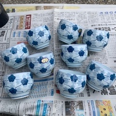 コップ　セット