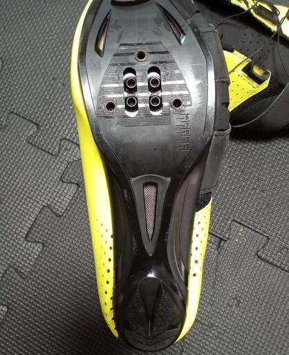 リンタマン 39 24.5cm